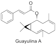 Guayulina A