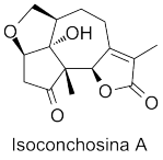 Isoconchosina A