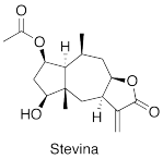 Stevina