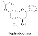 Tephrobbittina