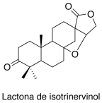 Lactona de isotrinervinol