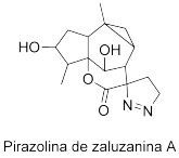 Pirazolina de zaluzanina A