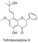 Tephroleocarpina A