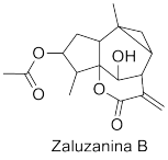Zaluzanina B