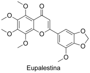 Eupalestina