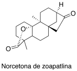 Norcetona de zoapatlina
