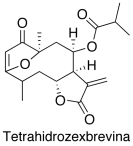Tetrahidrozexbrevina
