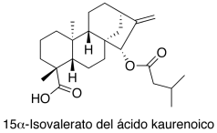 15α-Isovalerato del ácido kaurenoico