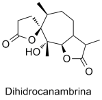 Dihidrocanambrina