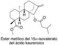 Éster metílico de 15α-isovalerato del ácido kaurenoico
