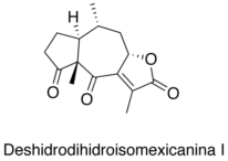 Deshidrodihidroisomexicanina I