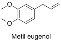 Metil eugenol