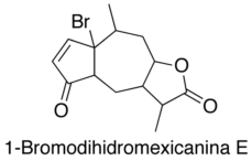 1-Bromodihidromexicanina E